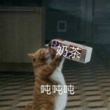 抹茶小丸子