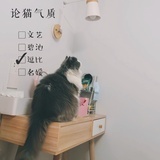 登登