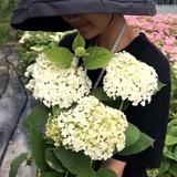 几许xuxu