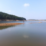 大隐