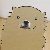我长颈鹿啊