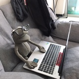 活着就是折磨