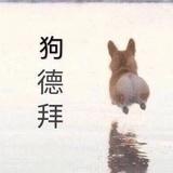 豆友156450144