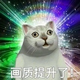 米老猫