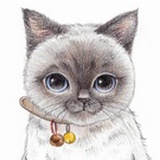 亦木