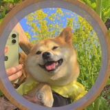 一株向日葵🌻