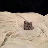 zzzzzzz