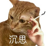 stevefunng