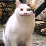 lzww_