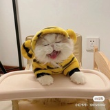 佛山佛哇