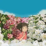朝颜呀