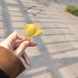 开心小米