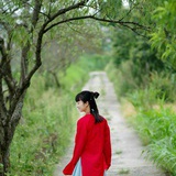 杜梨是蔷薇科