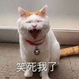 zzzc