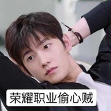 离猫