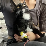 不要打针
