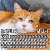 Gakusinn