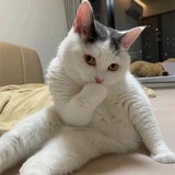 🌶️