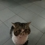 静颖怡霖