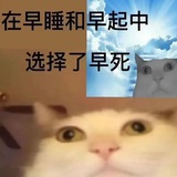 关雅迪