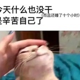 吃多看书