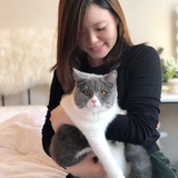 罗克珊