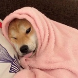 中和以运情
