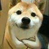 你要我说什么好