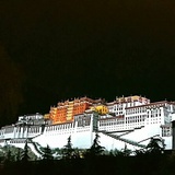 不知道叫什么