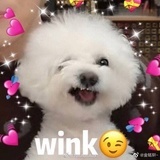 渡橘