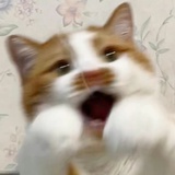 微