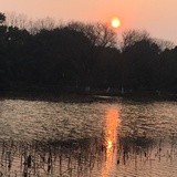 阿美