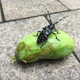 酷爱动物园