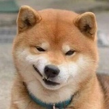 管你信不信
