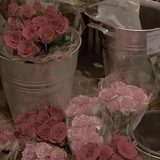 薄荷