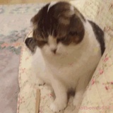 我太难了