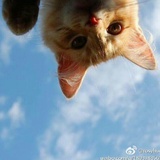 湖蓝与碧绿