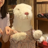 一袋小熊
