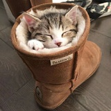 木头人