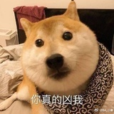 苏叶子