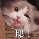 一杯冰奶茶