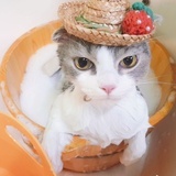 mimi