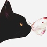 Sybil