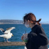 终究是无趣
