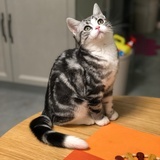 她说