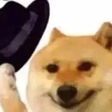 哈哈哈哈哈哈