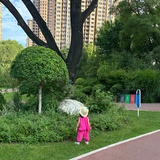 包包