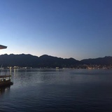 夏虫不可语冰