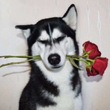 赵翊名