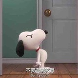 眠花糖